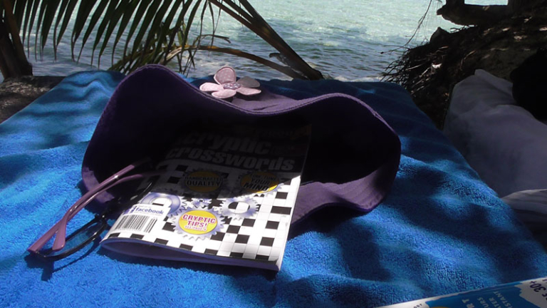cruise operator crossword